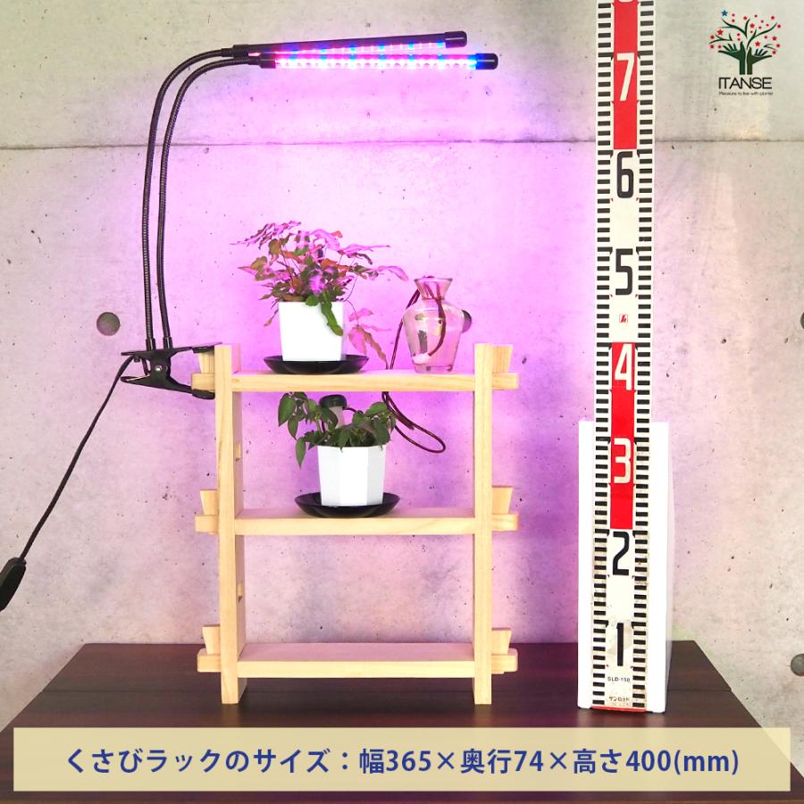 ITANSE ミニ観葉植物ディスプレイ\u0026生育棚 自動水やり器付き・木製くさびラックCセット(ミニ観葉2個付き・育成ライト付き) /1個売り_1