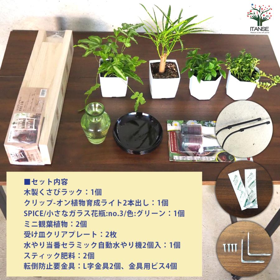 ITANSE ミニ観葉植物ディスプレイ\u0026生育棚 自動水やり器付き・木製くさびラックCセット(ミニ観葉2個付き・育成ライト付き) /1個売り_2