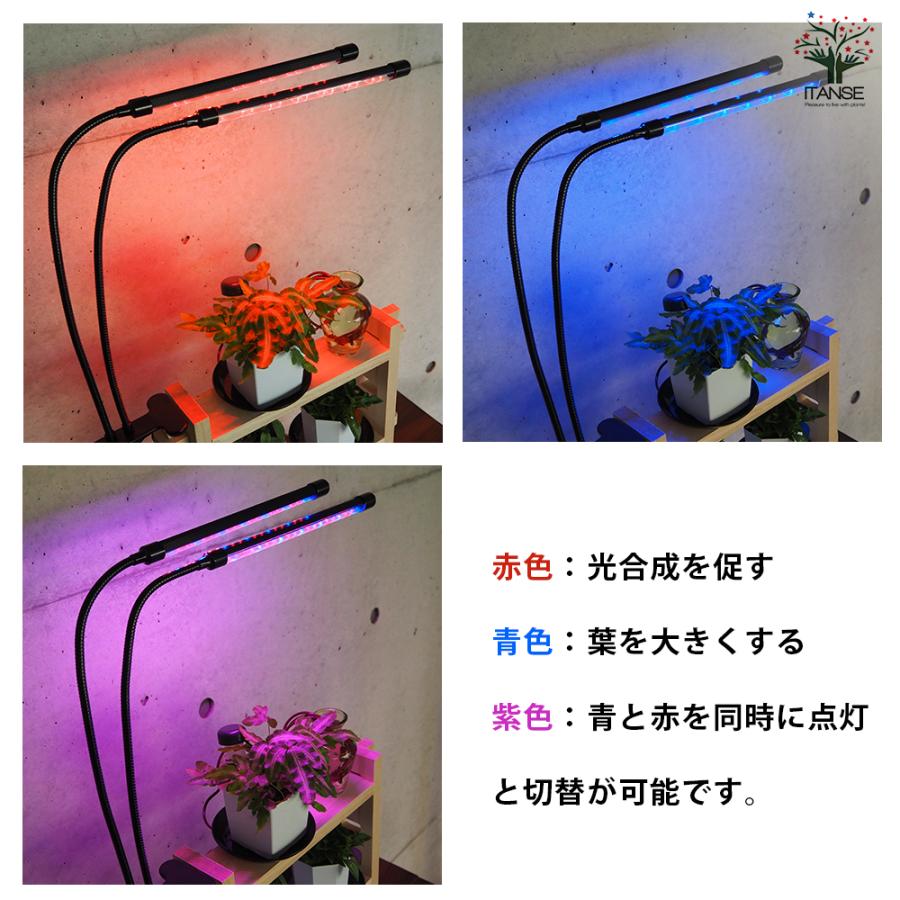 ITANSE ミニ観葉植物ディスプレイ\u0026生育棚 自動水やり器付き・木製くさびラックCセット(ミニ観葉2個付き・育成ライト付き) /1個売り_6