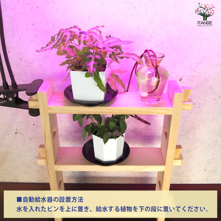 ITANSE ミニ観葉植物ディスプレイ\u0026生育棚 自動水やり器付き・木製くさびラックCセット(ミニ観葉2個付き・育成ライト付き) /1個売り_7