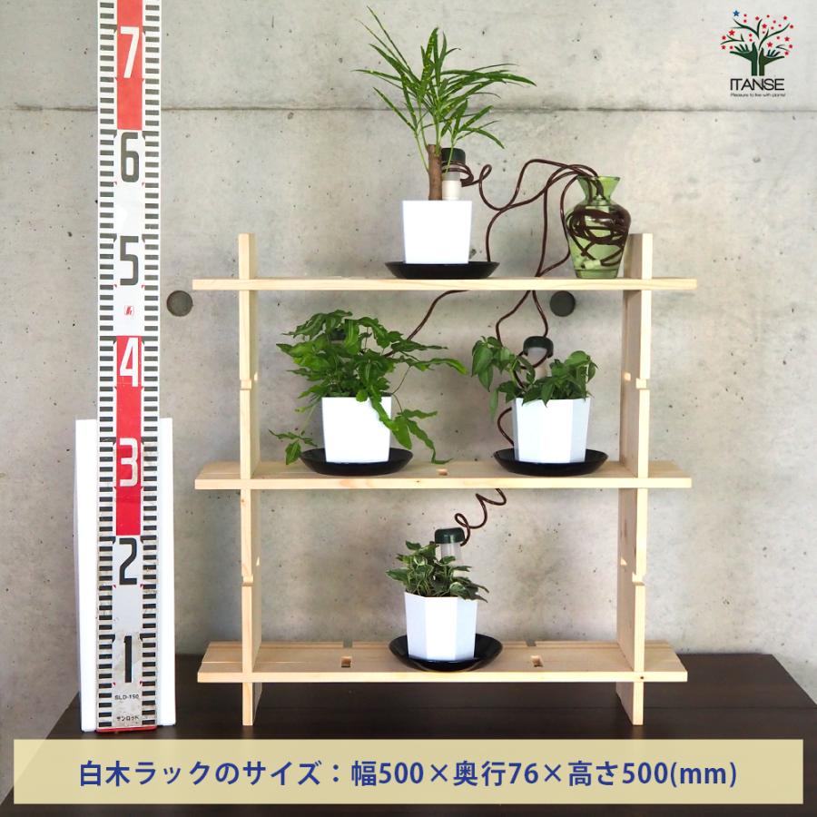 ITANSE ミニ観葉植物ディスプレイ&生育棚 工具ほぼいらず!組み木差し込み白木ラック/LBセット 資材 /1個売り イタンセ公式_1
