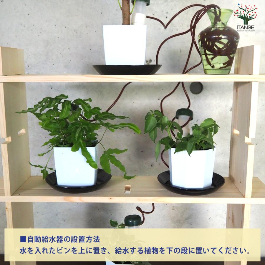 ITANSE ミニ観葉植物ディスプレイ&生育棚 工具ほぼいらず!組み木差し込み白木ラック/LBセット 資材 /1個売り イタンセ公式_6