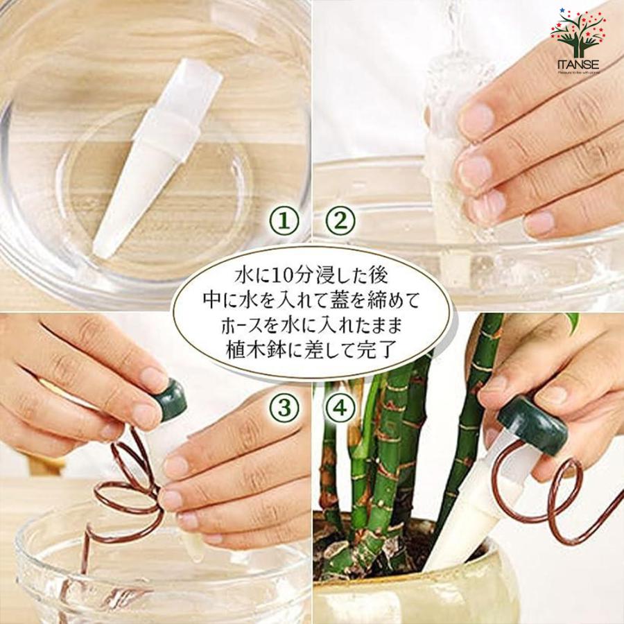 ITANSE ミニ観葉植物ディスプレイ&生育棚 工具ほぼいらず!組み木差し込み白木ラック/LBセット 資材 /1個売り イタンセ公式_7
