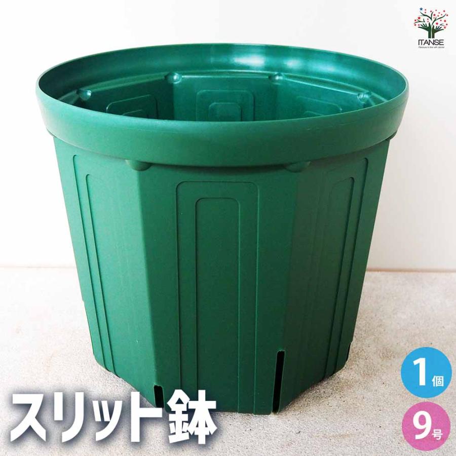 ITANSE スリット鉢 プラ鉢 9号/1個売り 鉢 植木鉢 鉢植え