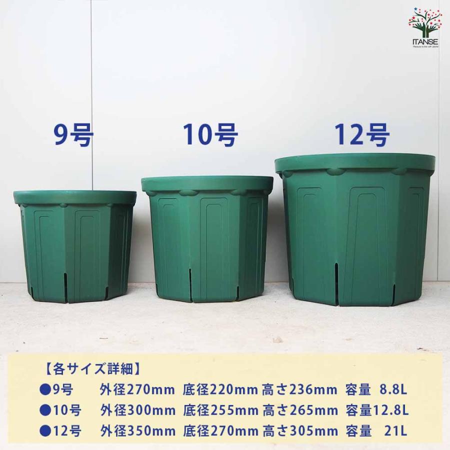 ITANSE スリット鉢 プラ鉢 9号/1個売り 鉢 植木鉢 鉢植え スリット