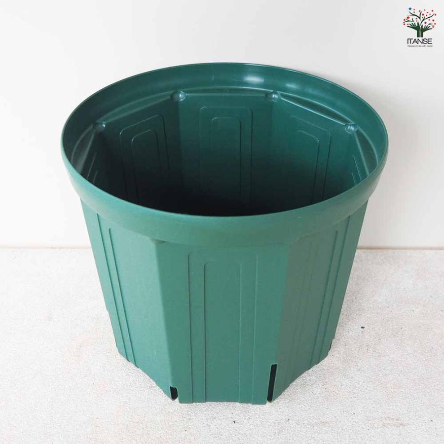 ITANSE スリット鉢 プラ鉢 9号/1個売り 鉢 植木鉢 鉢植え スリット