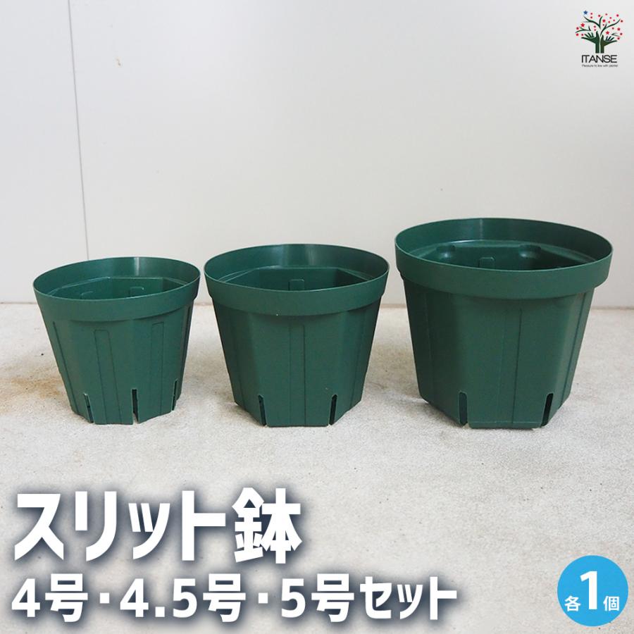 ITANSE スリット鉢 プラ鉢 4号 4.5号 5号セット/1個売り 鉢