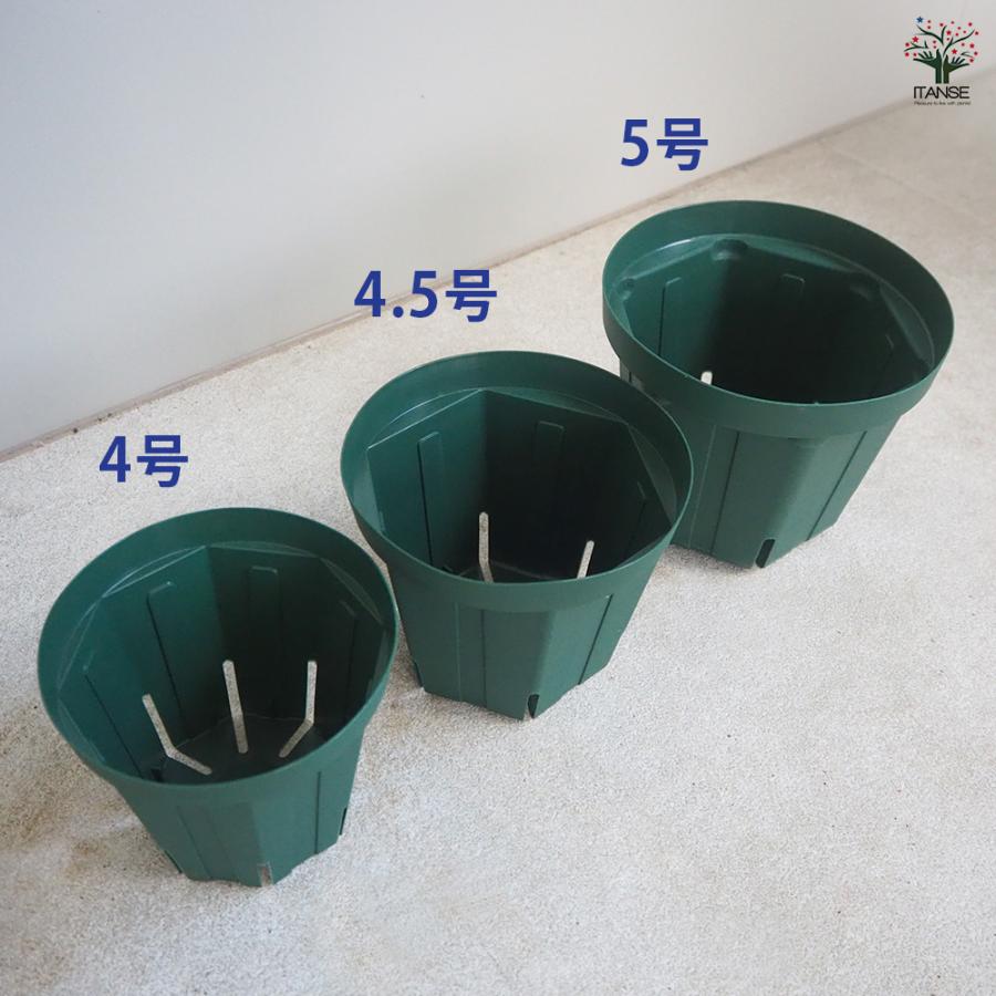 ITANSE スリット鉢 プラ鉢 4号 4.5号 5号セット/1個売り 鉢 植木鉢