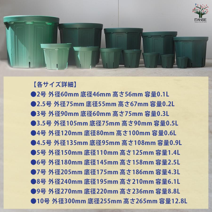 ITANSE スリット鉢 2号〜10号セット プラ鉢 12種類/各1個 鉢 植木鉢 鉢植え スリット 排水性 水はけ 通気性 プランター 野菜 ...