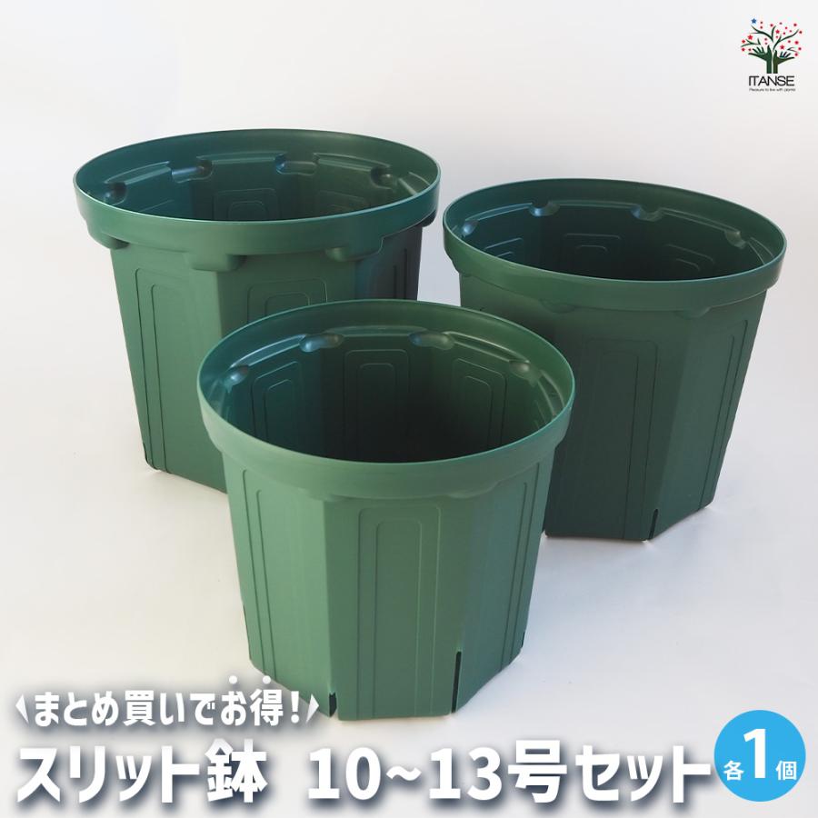 スリット鉢 大サイズ3種類セット 資材 10〜13号/各1個(合計3個) 鉢