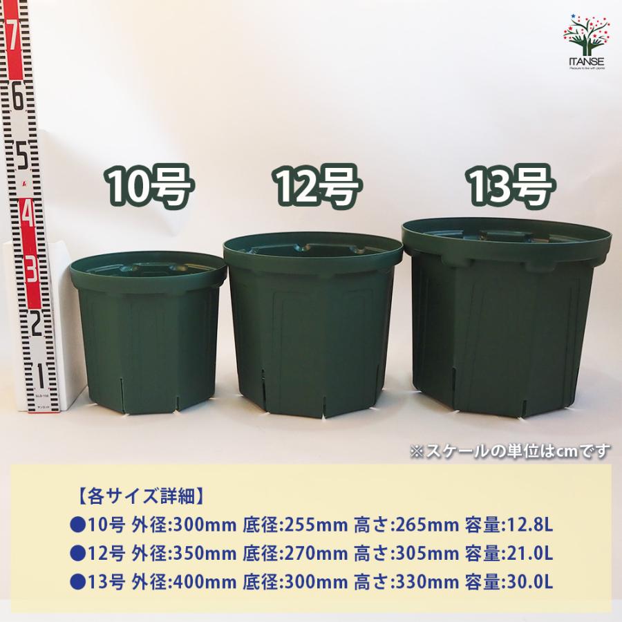 スリット鉢 大サイズ3種類セット 資材 10〜13号/各1個(合計3個) 鉢