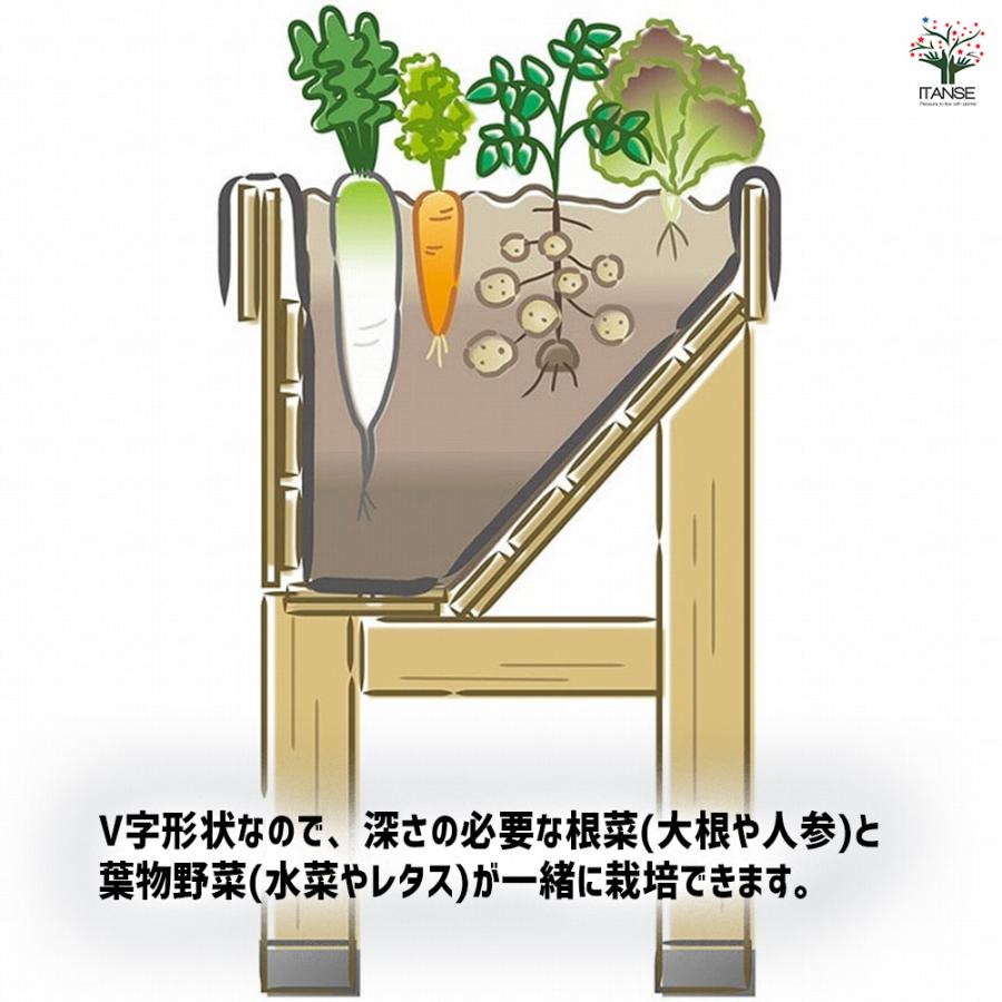 ベジトラグ ホームベジトラグ ウォールハガーコンパクト 資材 /1個売り ガーデニング 栽培 家庭菜園 園芸 野菜 ハーブ 花 花苗 花木 苗 土