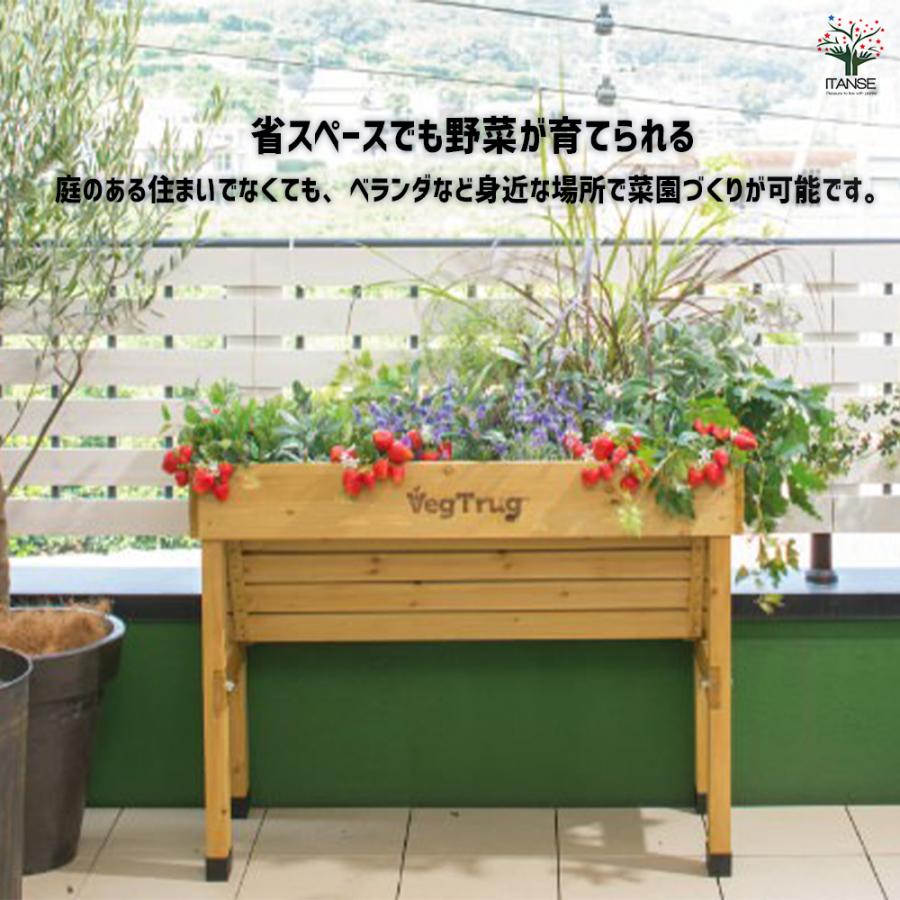ベジトラグ ホームベジトラグ ウォールハガーコンパクト 資材 /1個売り ガーデニング 栽培 家庭菜園 園芸 野菜 ハーブ 花 花苗 花木 苗 土