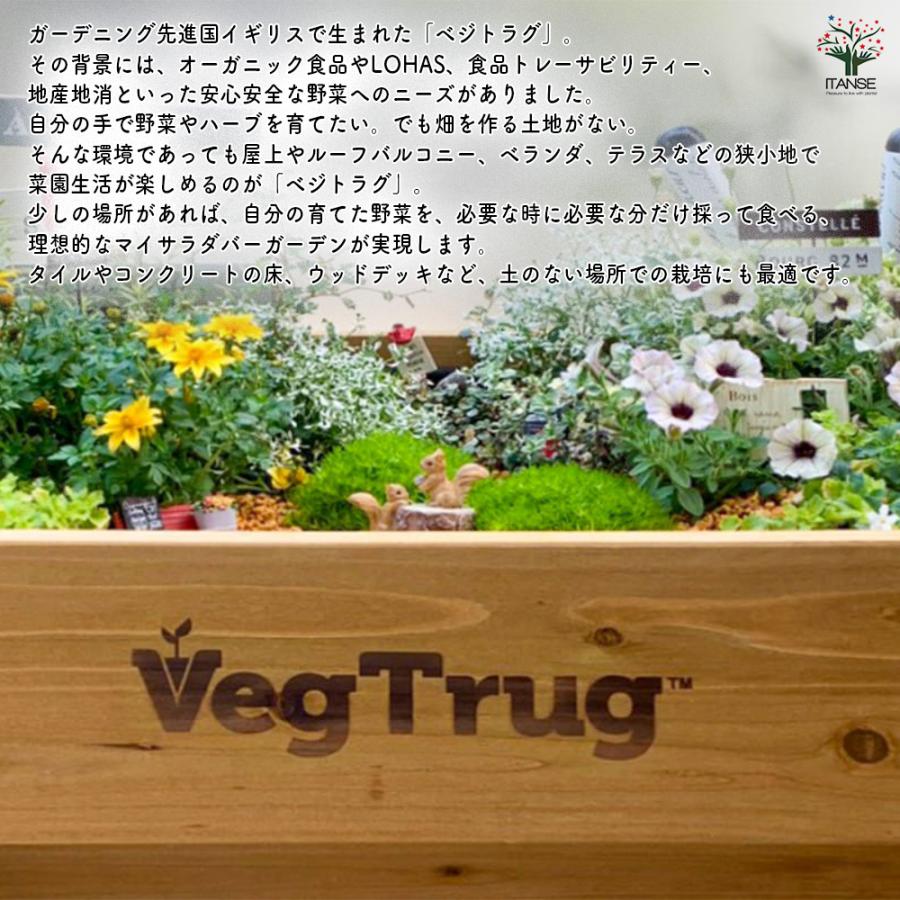 ベジトラグ ホームベジトラグ ウォールハガーコンパクト 資材 /1個売り ガーデニング 栽培 家庭菜園 園芸 野菜 ハーブ 花 花苗 花木 苗 土