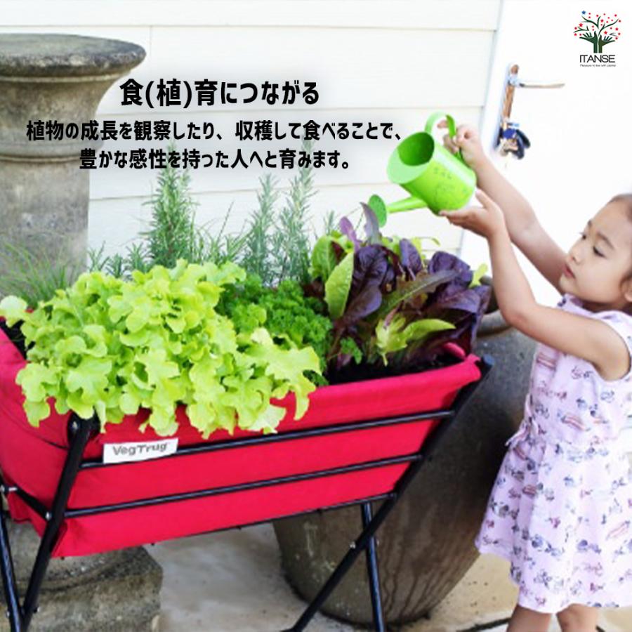 レイズドベッド ハーブプランター 資材 /1個売り ガーデニング 栽培 家庭菜園 園芸 野菜 ハーブ 花 花苗 花木 苗 土 用土 培養土 水やり_5