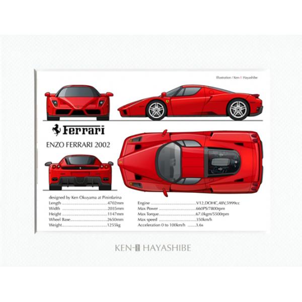 Ferrari（フェラーリ） Enzo Ferrari Specsイラストレーションby 林部