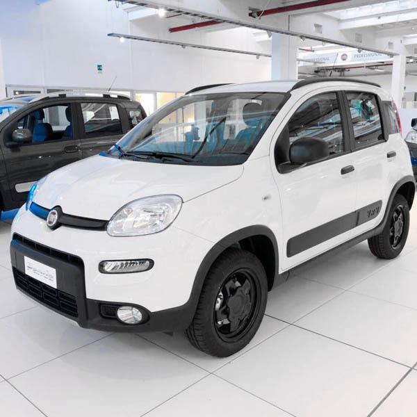 FIAT（フィアット） フィアット純正 PANDA本国限定スチールホイール(4