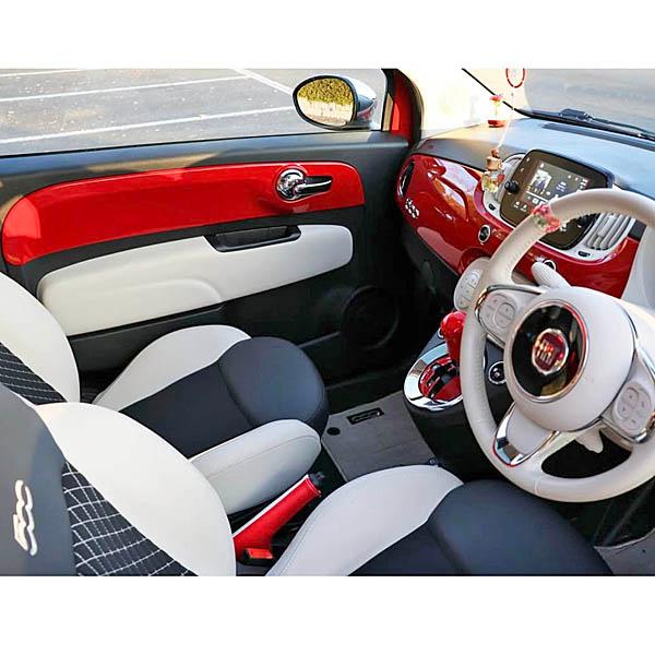 FIAT（フィアット） フィアット500 / ABARTH595用ドアパネルプレート