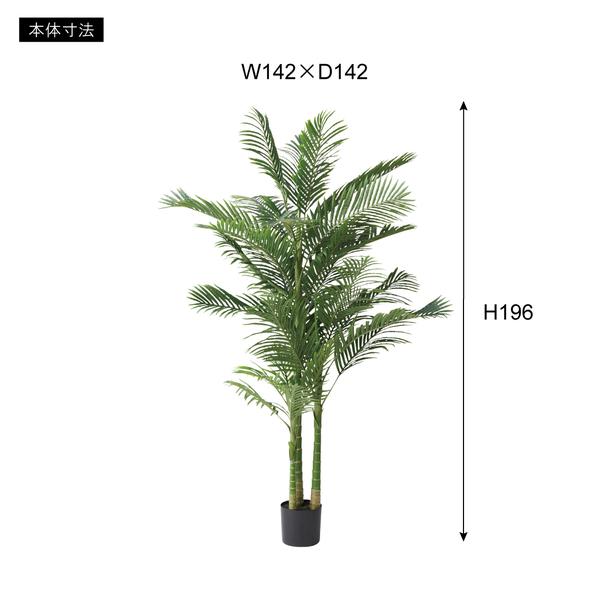 フェイクグリーン アレカヤシ GRN-19 インテリア リビング ダイニング ガーデン 人工植物 人工木 観葉植物 造花 偽物 リアル 自然  【送料別途見積】の画像