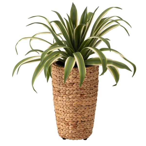 プランターハイタイプ GRNB-52S 鉢入れ アジアン 観葉植物 植物 ウォーターヒヤシンス 雑貨 インテリア 室内 編み かご 筒型 5号用 |  | 04