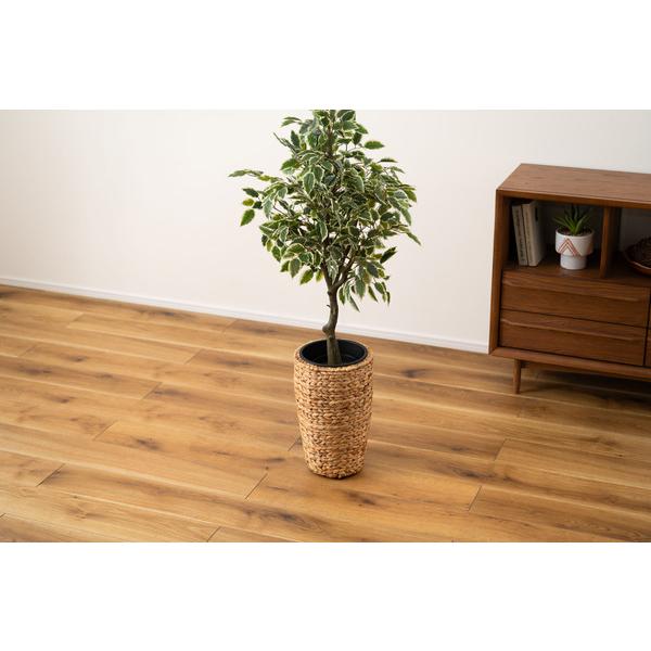プランターハイタイプ GRNB-52S 鉢入れ アジアン 観葉植物 植物 ウォーターヒヤシンス 雑貨 インテリア 室内 編み かご 筒型 5号用 |  | 07
