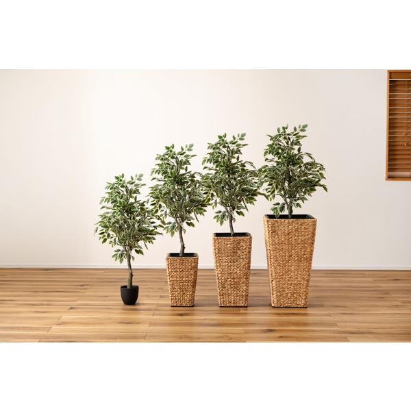 プランター角ハイタイプ GRNB-53L 鉢入れ アジアン 観葉植物 植物 ウォーターヒヤシンス 雑貨 インテリア 室内 編み かご 角型 9号用 |  | 13