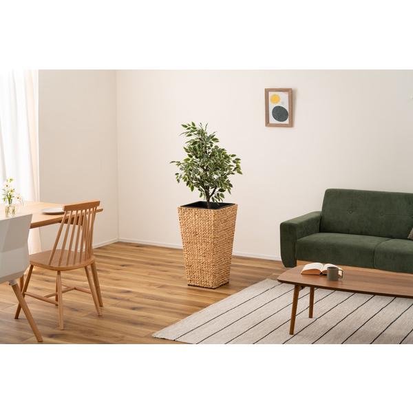プランター角ハイタイプ GRNB-53L 鉢入れ アジアン 観葉植物 植物 ウォーターヒヤシンス 雑貨 インテリア 室内 編み かご 角型 9号用 |  | 08