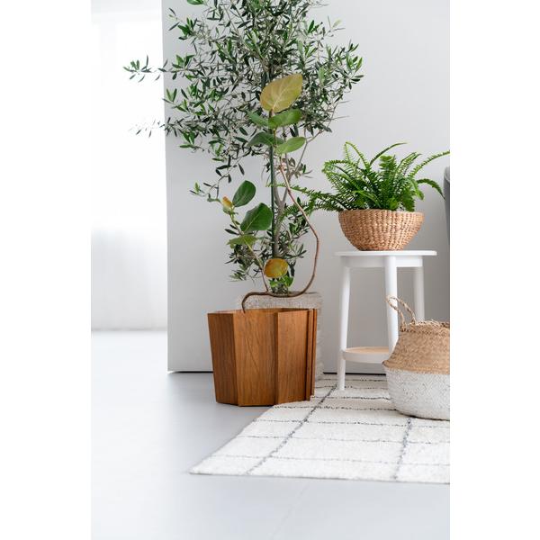 ウッドプランターS GUY-823 プランター 木製 天然木 ミンディ 入れ物 カバー 観葉植物入れ 飾り インテリア インテリア雑貨 |  | 08
