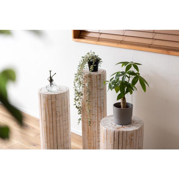 グリーンベース GUY-927WH グリーン ベース 花台 天然木 ホワイト ナチュラル プランターベース おしゃれ  観葉植物 | 東谷 | 03