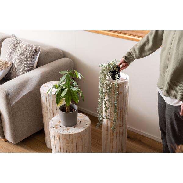 グリーンベース GUY-927WH グリーン ベース 花台 天然木 ホワイト ナチュラル プランターベース おしゃれ  観葉植物 | 東谷 | 08