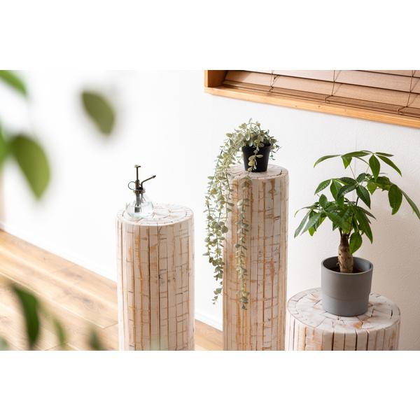 グリーンベース GUY-928WH グリーン ベース 花台 天然木 ホワイト ナチュラル プランターベース おしゃれ  観葉植物 | 東谷 | 05