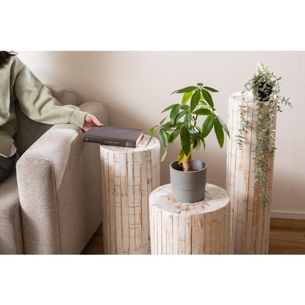 グリーンベース GUY-928WH グリーン ベース 花台 天然木 ホワイト ナチュラル プランターベース おしゃれ  観葉植物 | 東谷 | 07