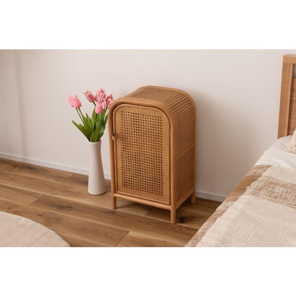 キャビネット GUY-931NA チェスト ラタン ミニキャビネット 小さめ 小さい かわいい 扉付き 2段 本棚 ベッドサイド 寝室 | 東谷 | 13
