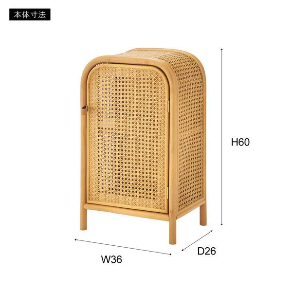 キャビネット GUY-931NA チェスト ラタン ミニキャビネット 小さめ 小さい かわいい 扉付き 2段 本棚 ベッドサイド 寝室 | 東谷 | 06