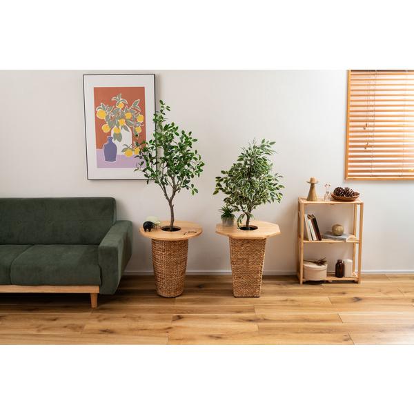 プランターテーブル HOW-014NA サイドテーブル テーブル 木製 天然木 北欧 おしゃれ 円 丸 ラウンド |  | 12