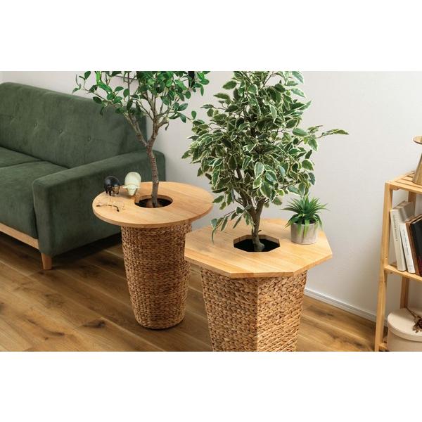 プランターテーブル HOW-014NA サイドテーブル テーブル 木製 天然木 北欧 おしゃれ 円 丸 ラウンド |  | 13