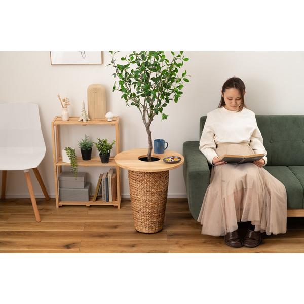 プランターテーブル HOW-014NA サイドテーブル テーブル 木製 天然木 北欧 おしゃれ 円 丸 ラウンド |  | 16
