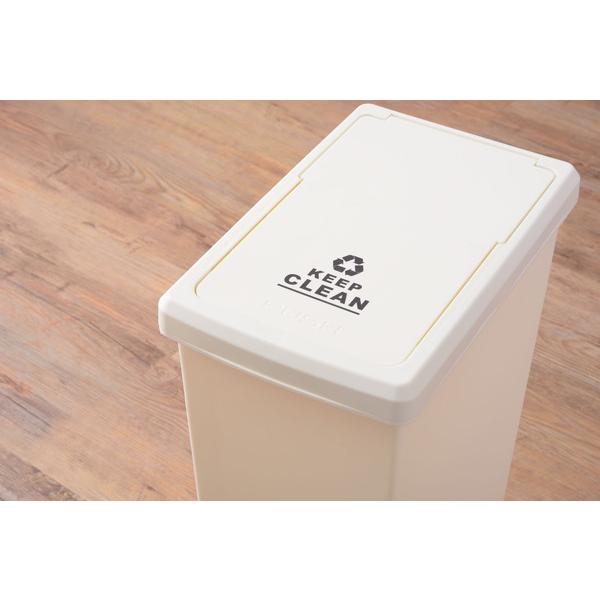 スライドペール 45L　LFS-763 ゴミ箱 ダストボックス 屋外 屋内 キャスター付き ポリプロピレン ごみ箱 分別ゴミ箱 キッチン スライドロック式 スライドペール | 東谷 | 11