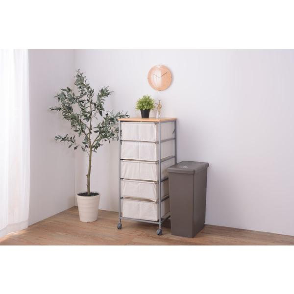 スライドペール 45L　LFS-763 ゴミ箱 ダストボックス 屋外 屋内 キャスター付き ポリプロピレン ごみ箱 分別ゴミ箱 キッチン スライドロック式 スライドペール | 東谷 | 17