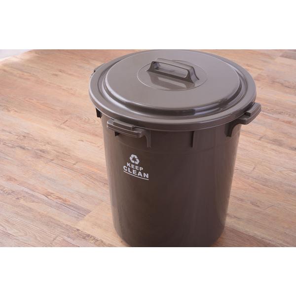 ラウンドペール 45L LFS-765 ゴミ箱　ダストボックス フタ付き ロック機能付き ポリプロピレン 丸洗い おしゃれ 屋外 ゴミ箱 分別ゴミ箱 ダストボックス | 東谷 | 06