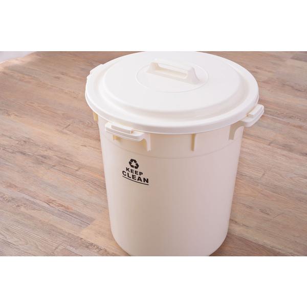 ラウンドペール 45L LFS-765 ゴミ箱　ダストボックス フタ付き ロック機能付き ポリプロピレン 丸洗い おしゃれ 屋外 ゴミ箱 分別ゴミ箱 ダストボックス | 東谷 | 08