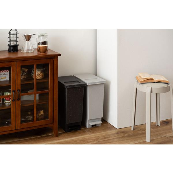 トラッシュカン 20L LFS-860 ダストボックス 大容量 ゴミ箱 おしゃれ フタ付き ふた付き インテリア 屋外 分別 キッチン | 東谷 | 20