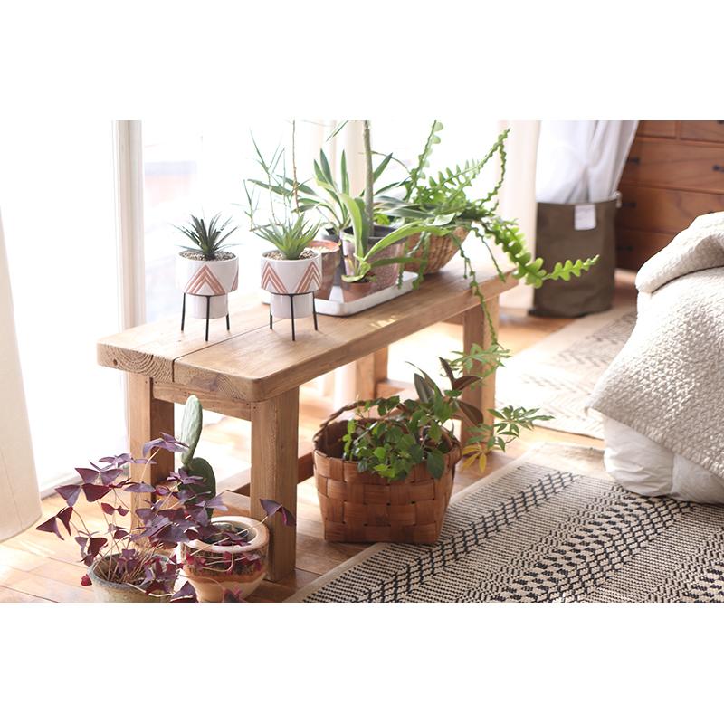 フェイクグリーン LFS-905 インテリア リビング ダイニング ガーデン 人工植物 人工木 観葉植物 造花 偽物 リアル 自然  ナチュラル |  | 06