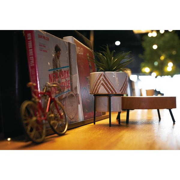 フェイクグリーン LFS-905 インテリア リビング ダイニング ガーデン 人工植物 人工木 観葉植物 造花 偽物 リアル 自然  ナチュラル |  | 08