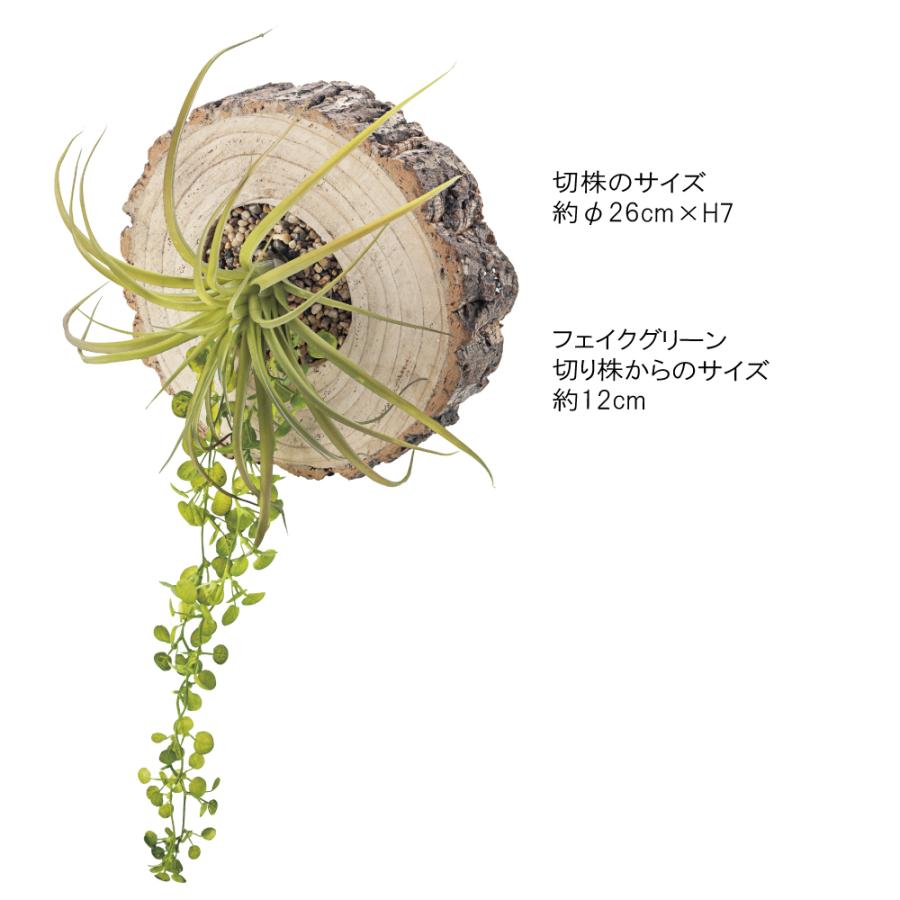 フェイクグリーン LFS-907 インテリア リビング ダイニング ガーデン 人工植物 人工木 観葉植物 造花 偽物 リアル 自然  ナチュラル 天然 |  | 01