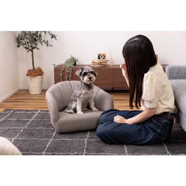 ペットソファ PET-71 犬用 猫用 ドッグ キャット ペット用品 愛犬 愛猫