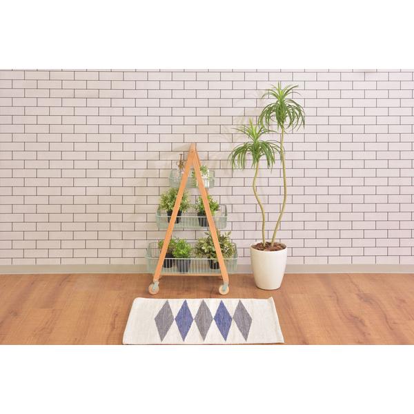 ワゴン 4D PW-54 バスケットワゴン キッチンワゴン ガーデンプランター フェイクグリーン 植物 観葉植物 天然木 木製 スチール 北欧 | 東谷 | 11