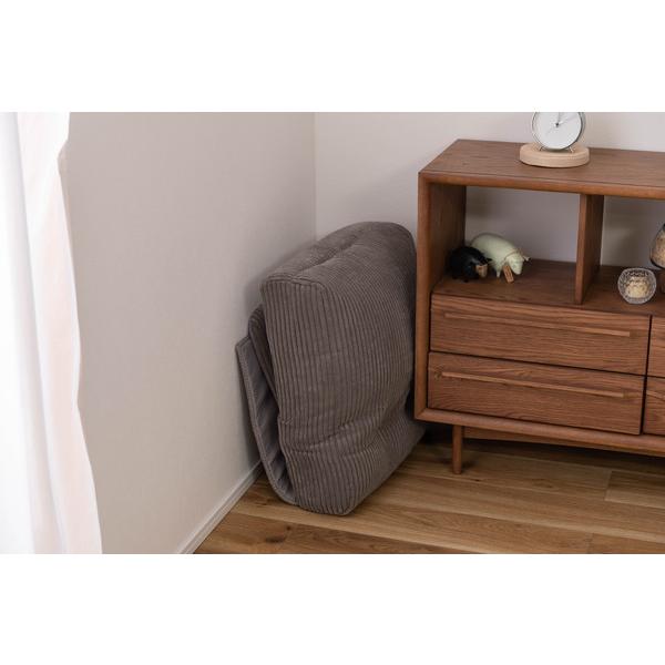 マルチフロアチェア RKC-187 座椅子 座いす こたつ リクライニング フロアチェア クッション 一人暮らし リビング | 東谷 | 18