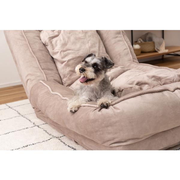 ソファベッド RKC-189 ソファ 耐摩耗性 防水 防水加工 ペット フロアチェア ベット くすみカラー ニュアンスカラー かわいい ゆったり | 東谷 | 14