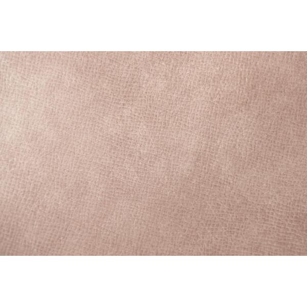 ソファベッド RKC-189 ソファ 耐摩耗性 防水 防水加工 ペット フロアチェア ベット くすみカラー ニュアンスカラー かわいい ゆったり | 東谷 | 05